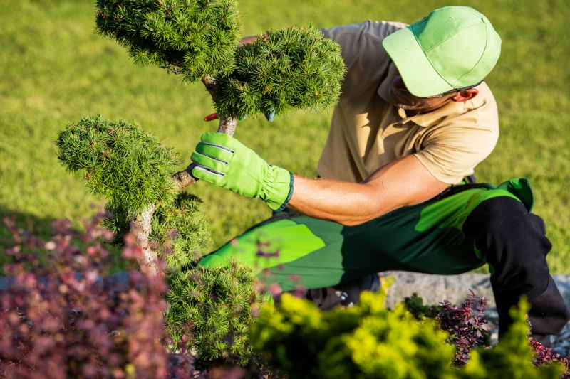 Neatly Trimmed Shrubs