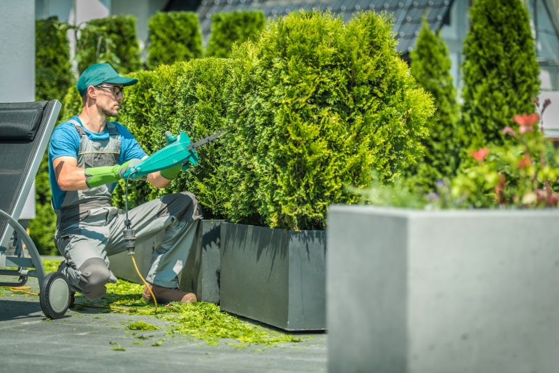 Seasonal Shrub Maintenance