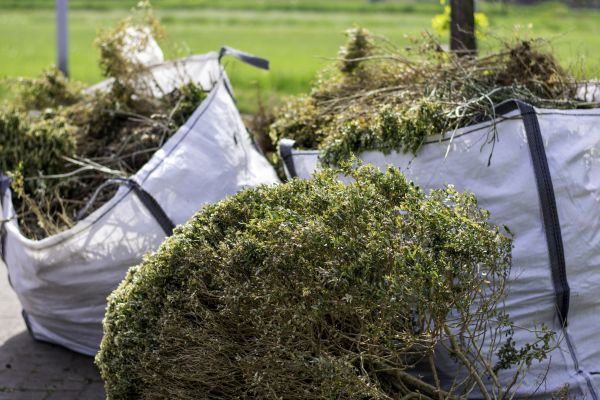 Cost of Shrubs Removal in Buford