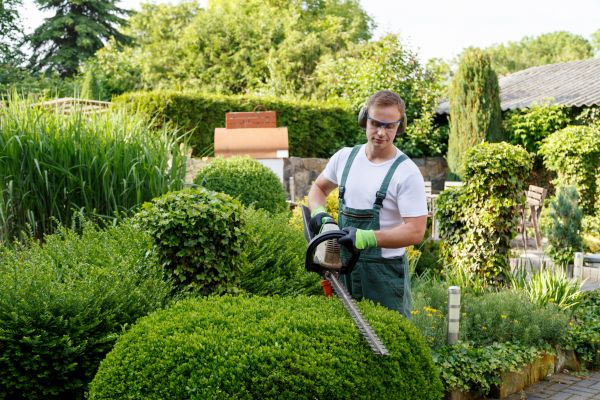 Shrubs Trimming in Buford